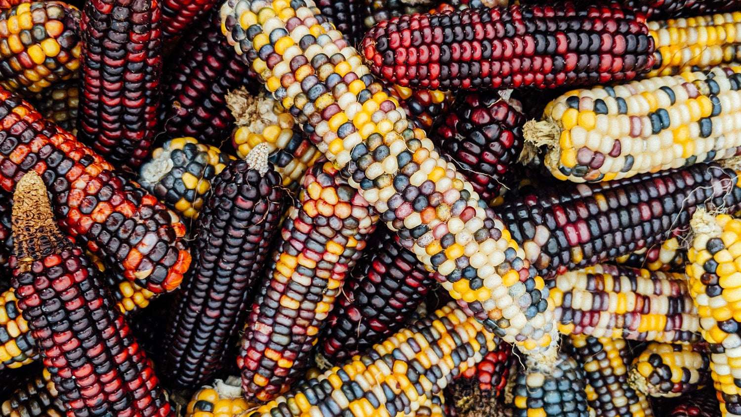 Flor de Maiz - unterschätztes Skinfood