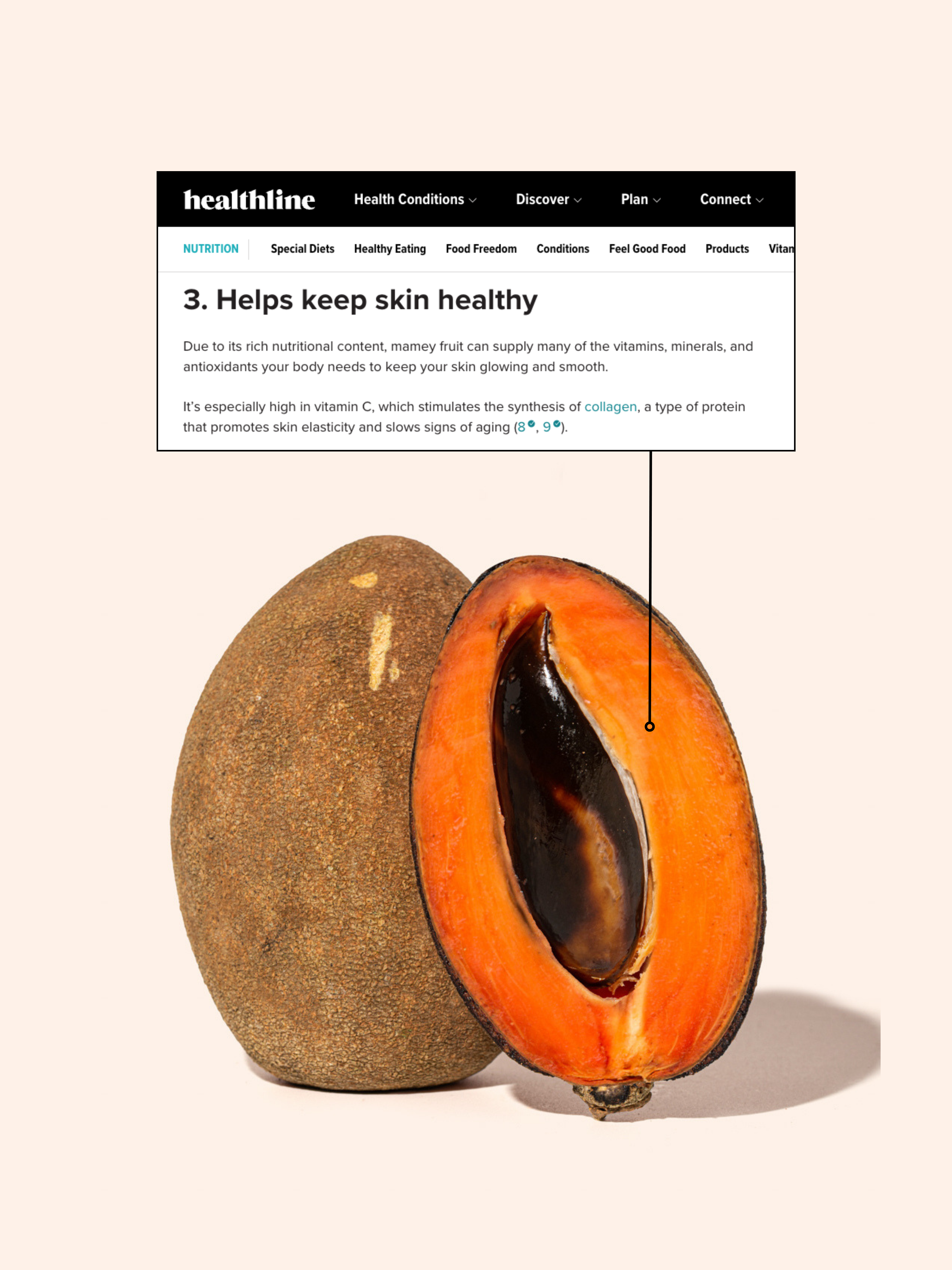 Limited Edition: El Grito Set