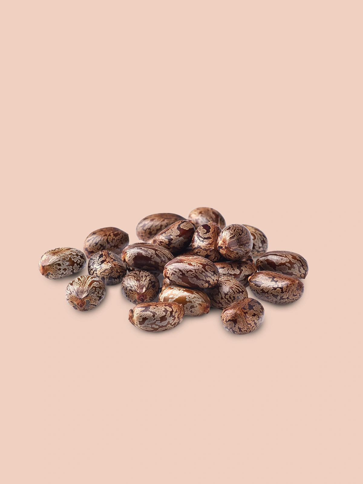 Castor seeds (Ricinus communis) with mottled brown and cream shells arranged in a pile on a blush background.