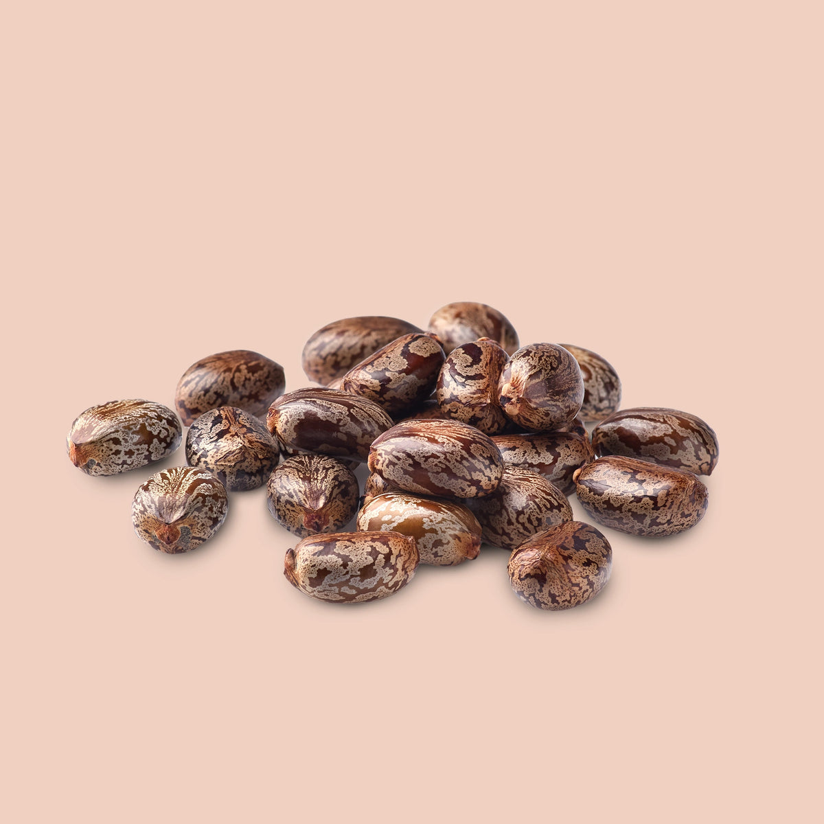 Castor seeds (Ricinus communis) with mottled brown and cream shells arranged in a pile on a blush background.