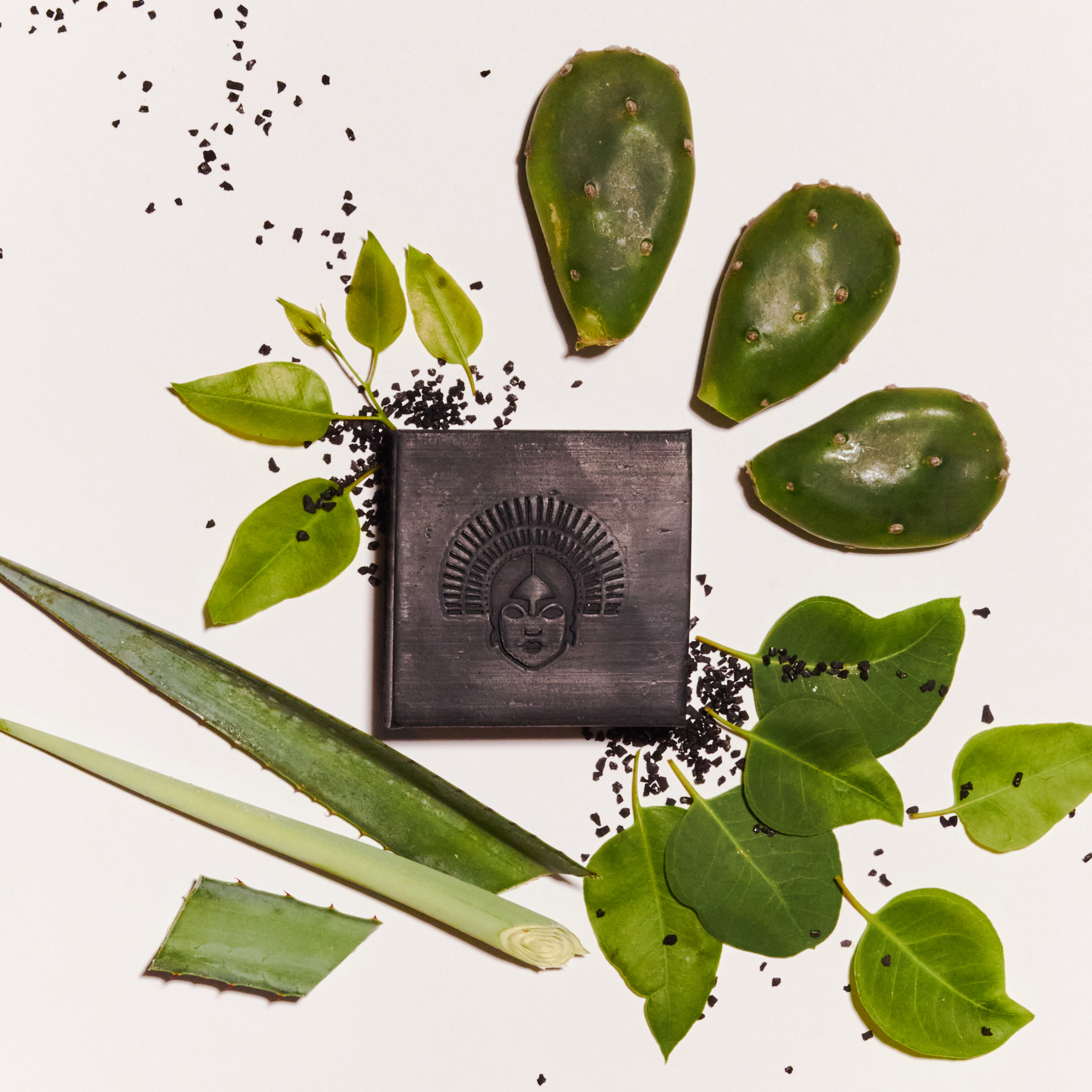 Purifying Bar - Nopal Negro