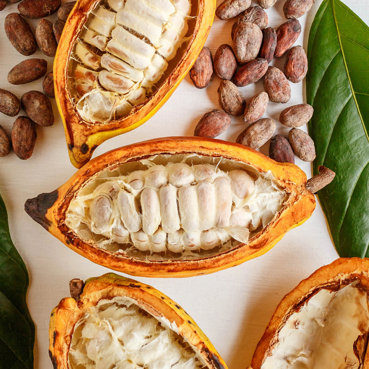 Halved yellow cacao pods with white pulp, dried cacao beans and green leaves on a pale wooden surface.