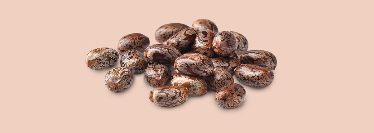 Castor seeds (Ricinus communis) with mottled brown and cream shells arranged in a pile on a blush background.