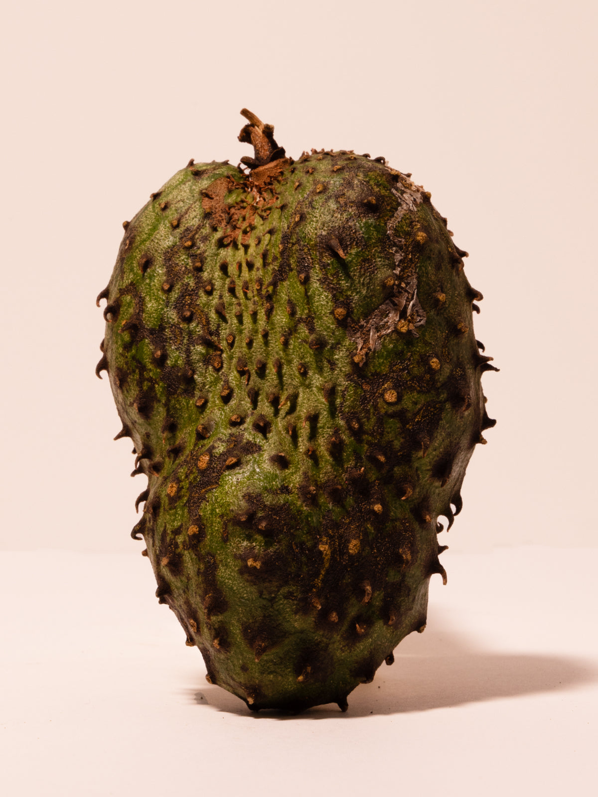 Guanabana Fruit Extract