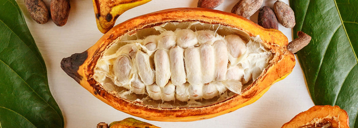 Halved yellow cacao pods with white pulp, dried cacao beans and green leaves on a pale wooden surface.