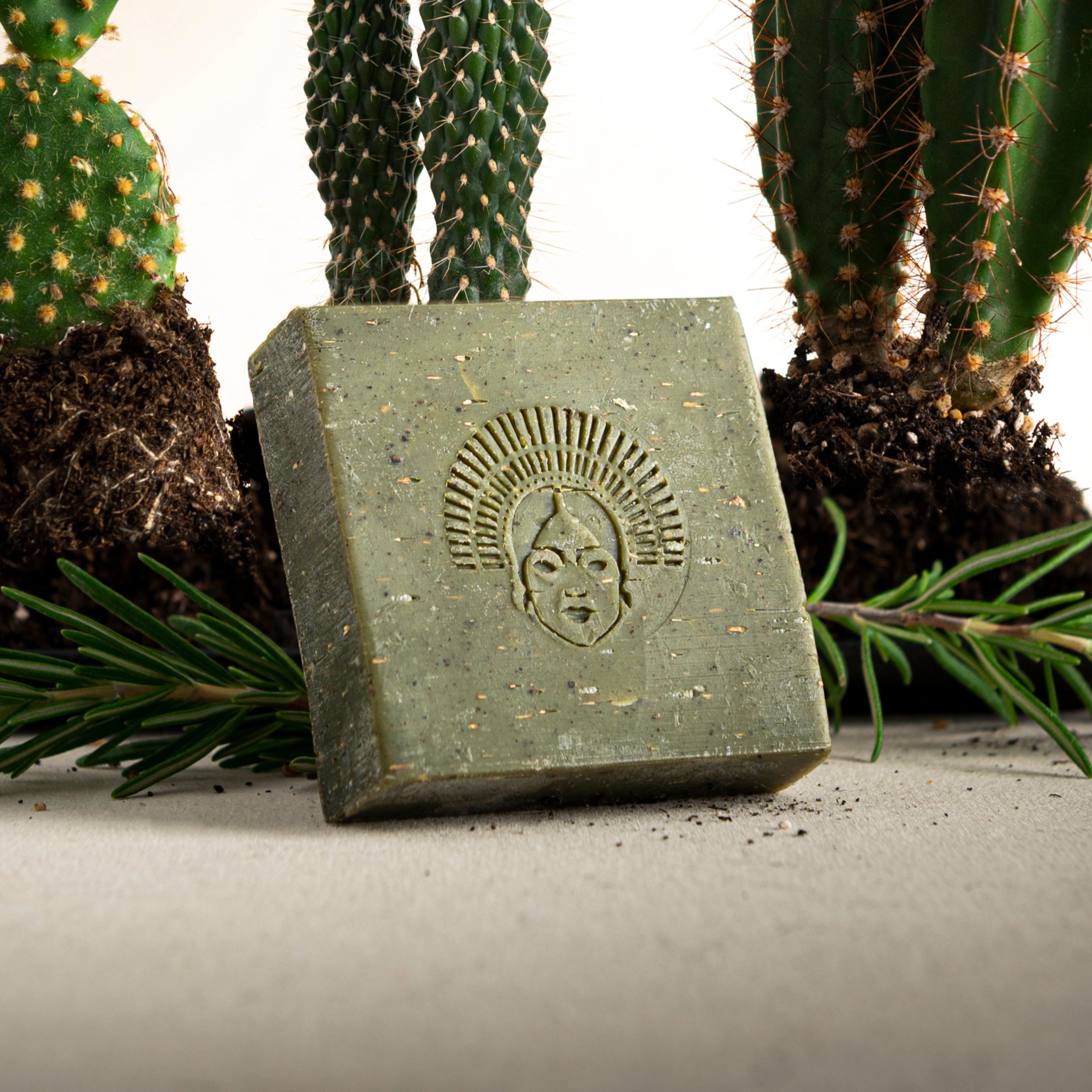 Detoxing Bar - Agave & Chicalote