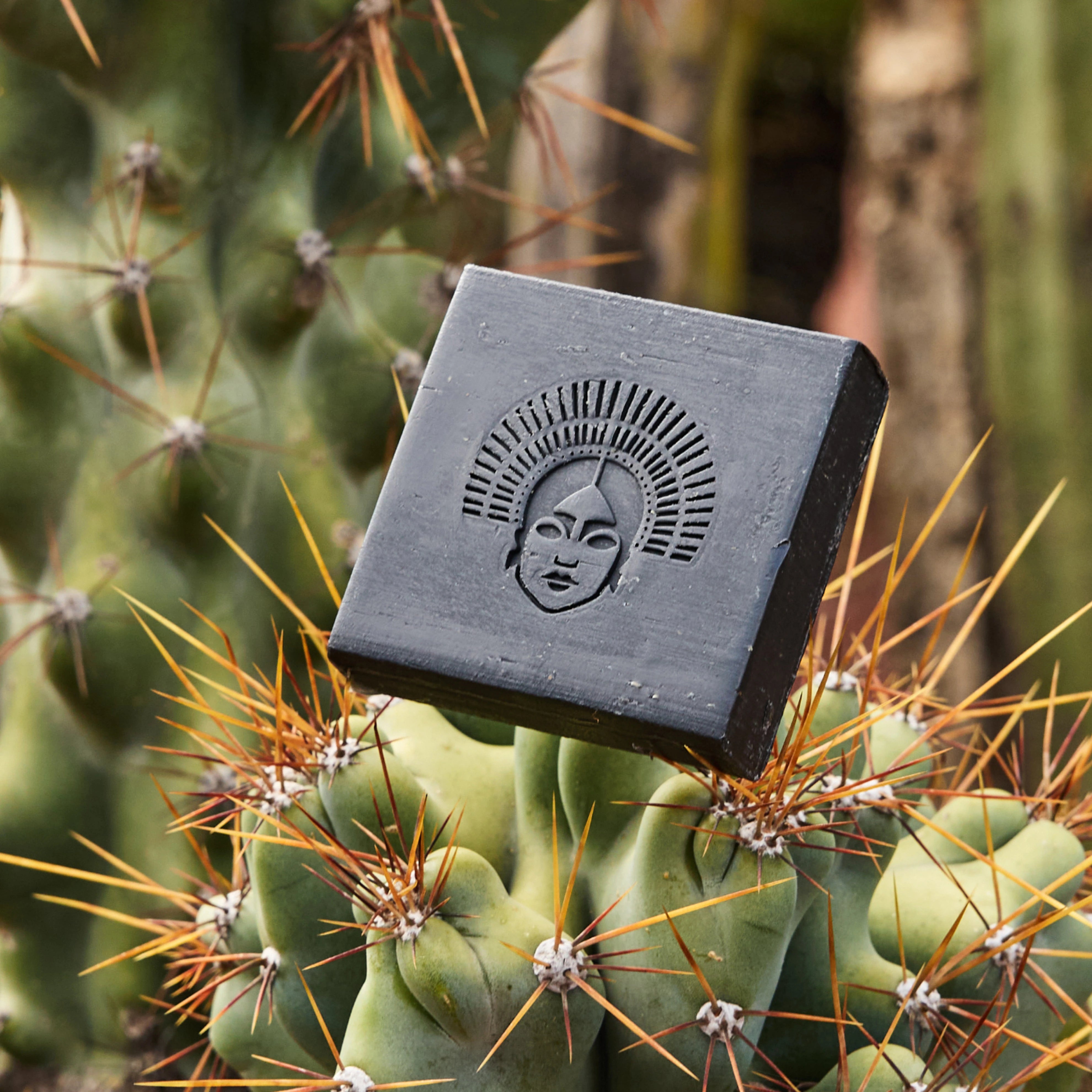 Purifying Bar - Nopal Negro